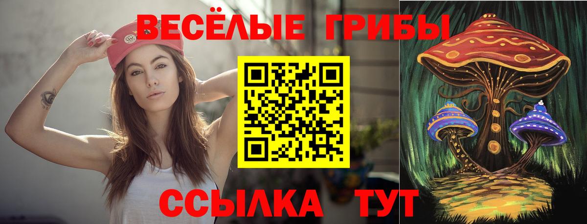 Галлюциногенные грибы Cubensis Рубцовск
