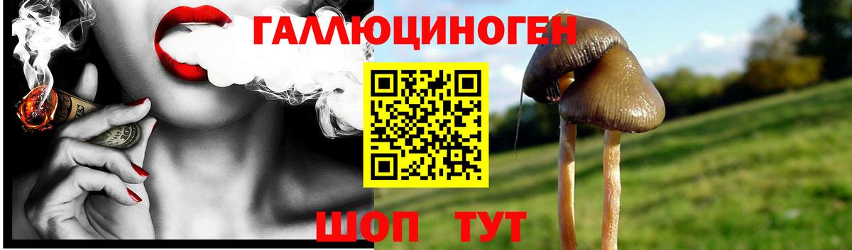 Псилоцибиновые грибы Psilocybine cubensis  магазин продажи   Рубцовск  Вход с VPN 